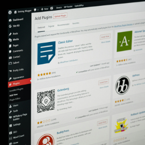 Web Content Management